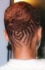 intricate braids back.jpg