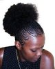braids with puff.jpg