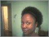 afropuff01232006.jpg