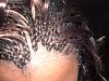 Hair Journey 003.jpg