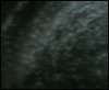 waves.jpg