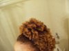 side view of curly fro.jpg