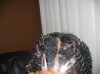 hair post braids nov and dec 2008 047.jpg