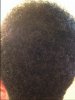 Natural fro from the back.JPG