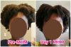 MHM_Full_Day1.jpg