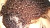 ForumRunner_20141031_071218.jpg