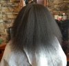 September 2014 before trim.jpg