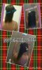 ForumRunner_20141127_224936.jpg