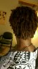 locs month 1 update (before retwist) (2).jpg