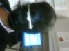 IMG00013-20090130-0914.jpg