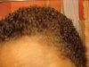 Jan 31 Hair update 013.jpg