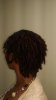 locs dyed and retwist 1.5 months.jpg