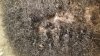 ForumRunner_20141224_005609.jpg ForumRunner_20141224_005609.jpg