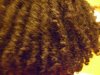 DOUBLE STRAND TWISTS - BACKSHOT.jpg