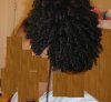 Feb Week Twist out puff 2.jpg