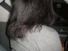 Puffy straight back3.jpg