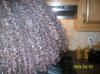 zuri and hair 008.jpg