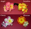Hairclip.jpg