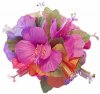 flowerclip_tropic.jpg