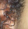 closeup.jpg
