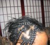 jan feb 2008 084.jpg