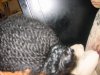 Pics for may 2008 065.jpg