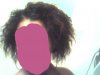 Snapshot_20090501_1.jpg