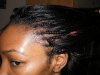 Treebraidingsideview-vi.jpg Treebraidingsideview-vi.jpg