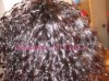 twistout050409_resized.jpg