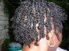 THE BIG CHOP-TWISTED 6-19-09 003.jpg THE BIG CHOP-TWISTED 6-19-09 003.jpg