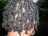 THE BIG CHOP-TWISTED 6-19-09 005.jpg THE BIG CHOP-TWISTED 6-19-09 005.jpg