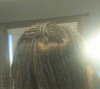 2051127_Roots2months.jpg