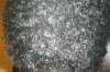 Loaded with conditioner.jpg