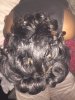 hair 1.jpg