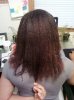 Hair 8-09.jpg