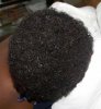 C back view.jpg