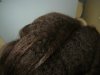 hair journey sept.09 005.jpg