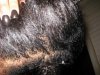 IMG_1760.jpg