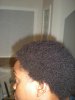 hair 010.jpg