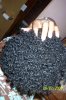 100_6287.jpg