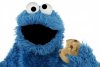 Cookie monster.jpg