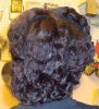 DSC00109.jpg