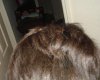 DSC01413.jpg