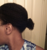 WP_20160815_006KinkyCurlWnGoDryInPonyTail.png