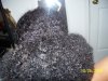 105_1203.jpg