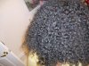 sherlene hair 003.jpg