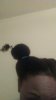 WP_20161024_014.jpg
