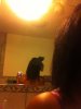 hair.jpg
