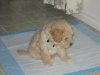 Feb 2 Pics 248.jpg