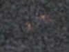 spot.jpg